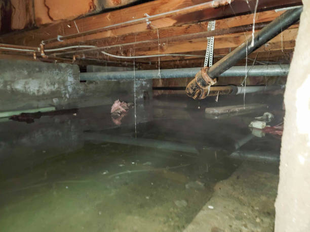 Best Residential water damage restoration  in Spring Lake, NC