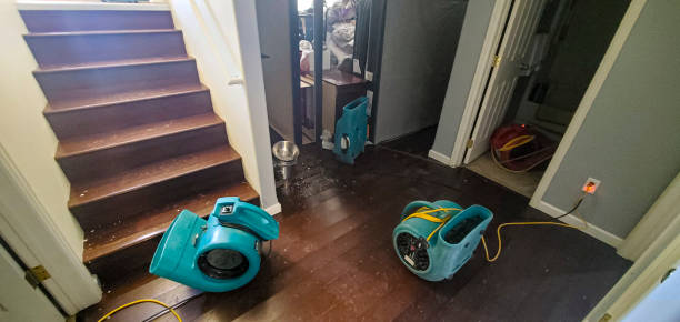 Carpet water damage restoration in Spring Lake, NC