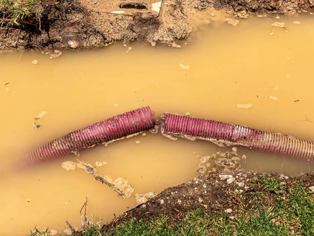 Best Local water damage restoration  in Spring Lake, NC